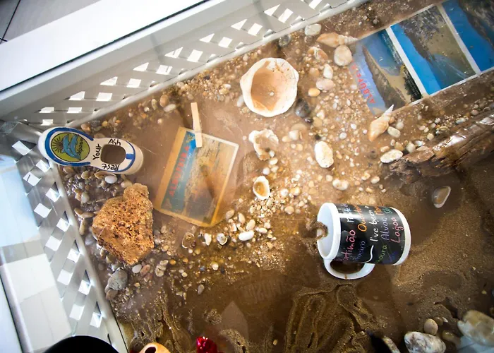 Apartment - Center, Walk To The Beach, Old Town, Oura Strip, Location Albufeira