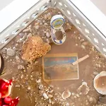 - Center, Walk To The Beach, Old Town, Oura Strip, Location Appartement